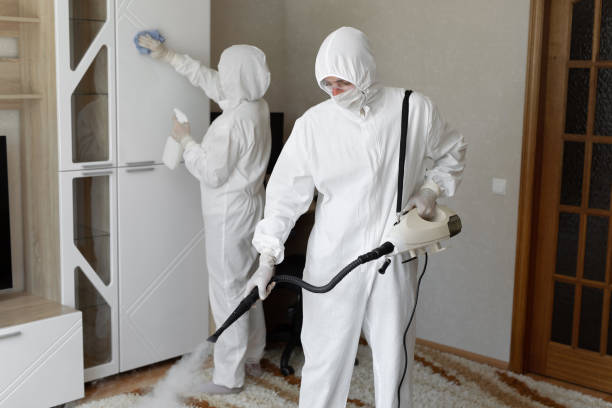 Certified Mold Removal in Excelsior, MN